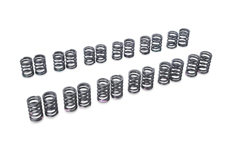Tomei Valve Spring Set Type A For Nissan R33 RB25DET Hydraulic Lash Type CamshaftTomei USA