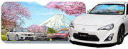 Tomei x Osamu Aida Sun Shade DGB/BNR32/AE86 Cherry Blossom Mt. JujiTomei USA